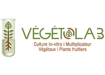 Végétolab Végétolab